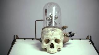 The Brandt Brauer Frick Ensemble - Mr. Machine