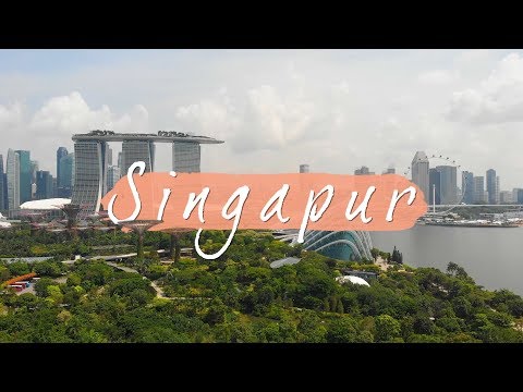 Zwei Tage in Singapur • Singapur • Weltreise-Vlog 27