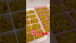 강아지화식 만들어볼께요 #강아지화식레시피#음수량부족한강아지화식#강아지건강식