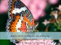 Voice of butterfly~Anna Tsuchiya (lyric) 