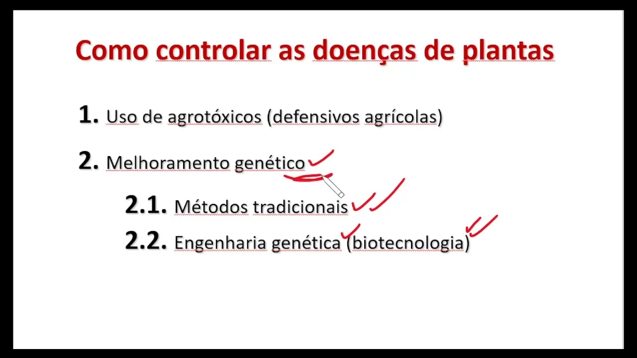 10 - Cultura de meristemas - Introdução