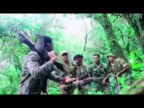 WBO koo akkam nagumaa ree Tafarii Zarfuu