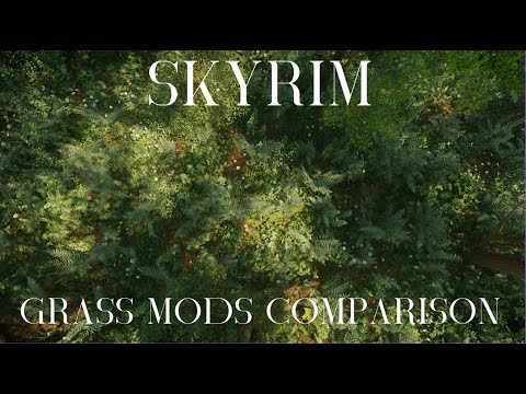 Comparison Of 20 Grass Mods | 2025 Skyrim Ultra Modded | 2K
