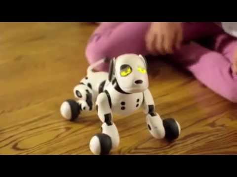 【Omnibotシリーズ】Hello! Zoomer