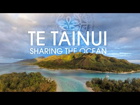 Te Tainui by F-ONE