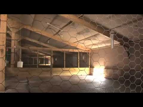 Game farm - hut building