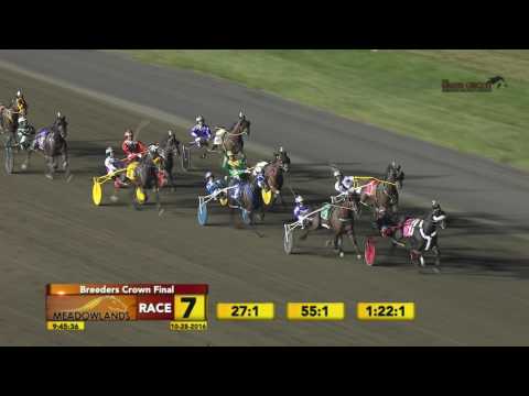 October 28, 2016 Breeders Crown Final Open Race 07