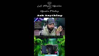 Ball Python & Snake Q&A