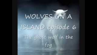 WOLVES ON A ISLAND episode 6 The ghost wolf in the fog