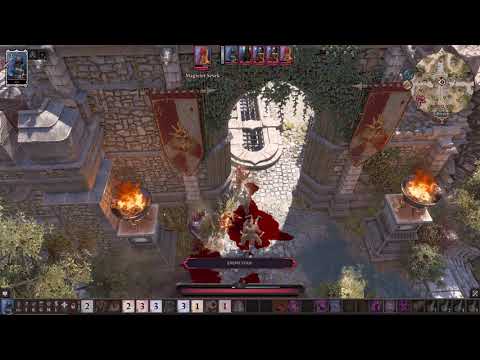 dos2 dallis @ fort joy, solo rogue