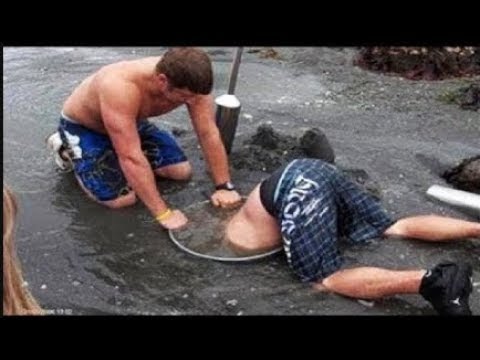 Amazing Harvesting And Cleaning Geoduck On Beach, Food Processing Skill