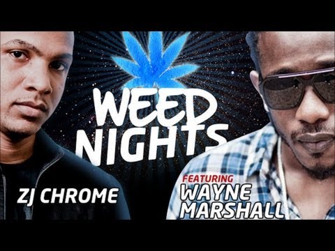 Wayne Marshall - Weed Nights - March 2013