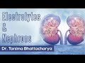 Electrolytes Nephrons DR Tanima Bhattacharya