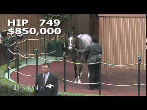 2014 September Yearling Sale - Hip 749 (Tapit - Justwhistledixie)