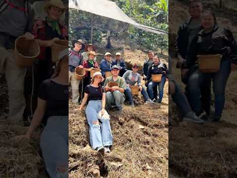 Ruta del #café en Barbosa - Antioquia con @granja_sanmiguel_barbosa  ☕️❤️✨ 🤗#antioquia #turismo