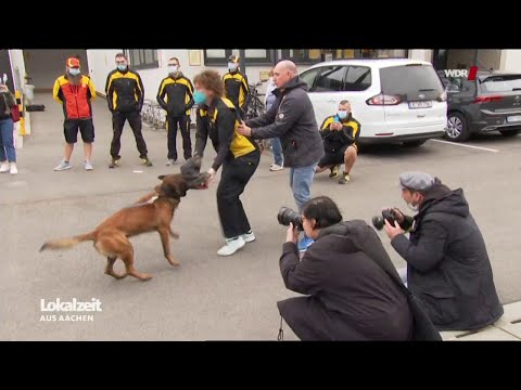 Postboten trainieren Umgang mit Hunden