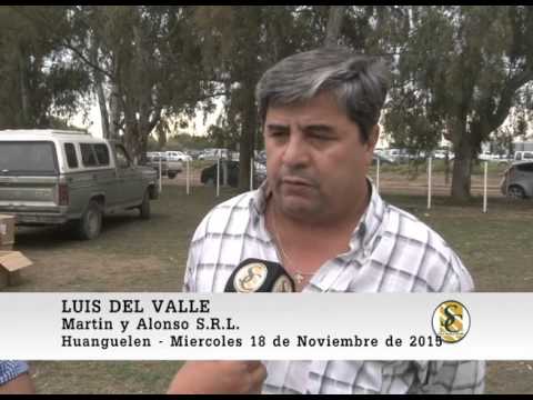 18-11-15 Nota Luis del Valle - Martin y Alonso S.R.L. - Huanguelen.