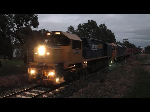 XR558-BL31 on 7901V roll down into Maryborough for a crew change.  20-06-19.   07.15. 1.6