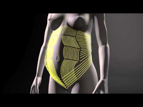 The Science behind Every Mother (formerly The Dia Method)