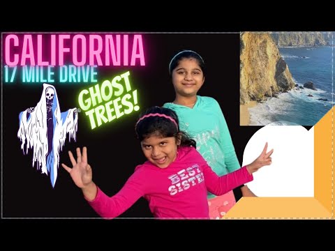 #Ghost Trees || #17 Mile drive || #Akhi || #Pebble Beach || #California USA ||#Bixby Bridge|| #Beach