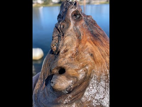 Bogman is asking you, wat is it? Subterrestrial Evidence of an Extraterrestrial Event! Wood Artifact