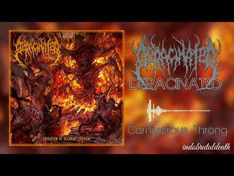 DERACINATED - Carnivorous Throng