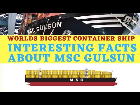 MSC GULSUN|INTERESTING FACTS|SHIPTECH MEDIA|MSC SHIPPING|WORLDS BIGGEST SHIP