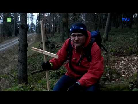 Środki zaradcze ludowej opinii depilacji Jeśli środki do szybszego wzrostu włosów