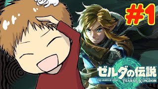 【初見攻略】とにかく楽しむ!! 途中でやめない!!  #1【ゼルダの伝説 ティアーズ オブ ザ キングダム】