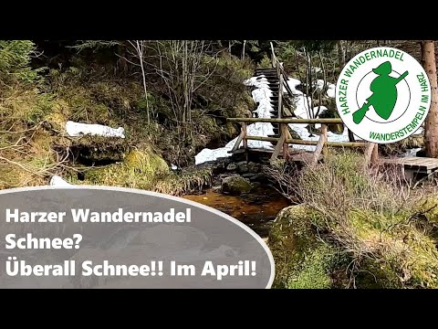 Harzer Wandernadel Tour 29, HWN 19, 136, 168 / Schnee, überall Schnee!!