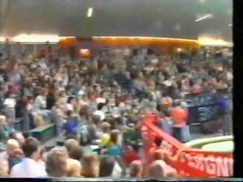 Tierrechte-Tierschutz  WDR - aktuell - Delfinarien