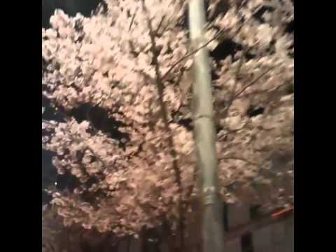 Simba Instagram Update 11.04.15