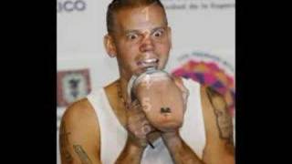 calle 13 -tributo a la policia