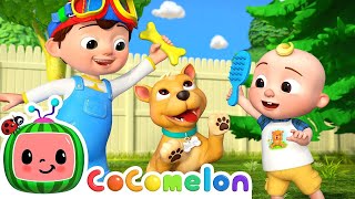 This is the Way Doggy Care Version  CoComelon Nursery Rhymes & Kids Songs