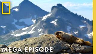 America 250 SPECIAL | America the Beautiful ft. Michael B. Jordan MEGA