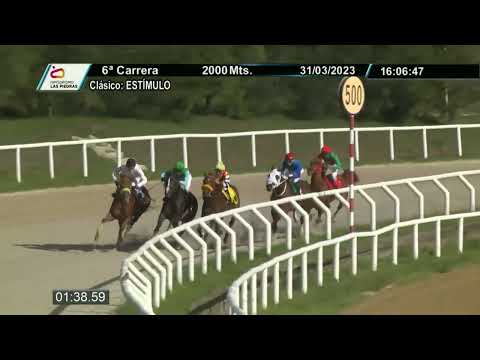 230331 c06 - AVE LEGAL - HIPODROMO LAS PIEDRAS - GRAN PREMIO ESTÍMULO