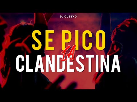 •🔥 SE PICO LA CLANDESTINA 8 🔥• | ALTA JODA | FIESTA 2021 | LO MEJOR | - DJ Cu3rvo