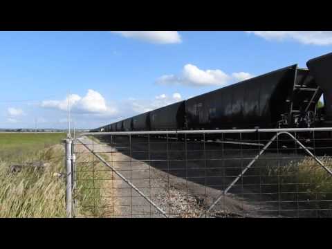 Black Caviar at Singleton - HVTV