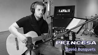 DAVID BUSQUETS - Princesa (lletra)