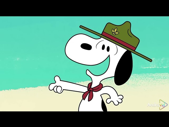 Vídeo relacionado con socksense Calcetines con licencia de la serie de personajes de dibujos animados de Snoopy para mujeres y adolescentes de The Peanuts, Color: 5 pares, Talla única