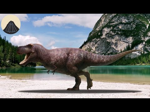 Why did T. rex and Other Dinosaurs Have Tiny Arms