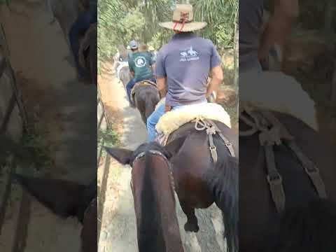 cavalgada  na água amarela  de baixo  Antônio Olinto PR