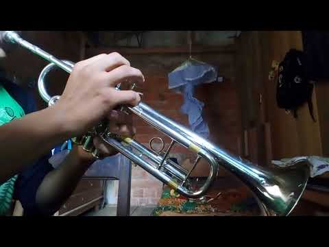 Alex sensation ozuna - que va (en trompeta)