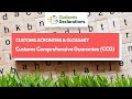 Customs Comprehensive Guarantee CCG | CUSTOMS ACRONYMS & GLOSSARY
