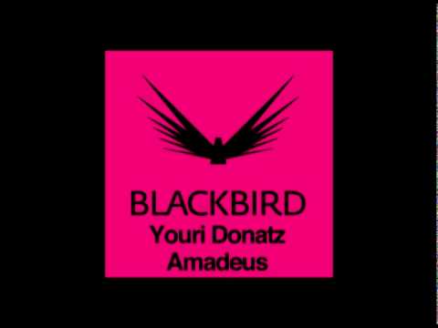 Youri Donatz - Amadeus (teaser)