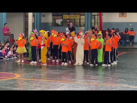 CELEBRATING WORLD ANIMAL DAY October 2022