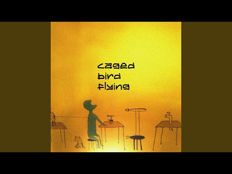 Caged Bird Flying