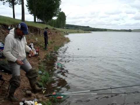 pescuit la fântânele.