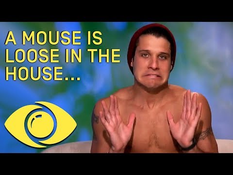 There's a Mouse in the House?!  - BB USA - Big Brother Universe