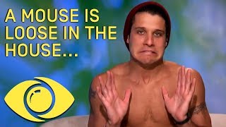 There&#39;s a Mouse in the House?!  - BB USA - Big Brother Universe